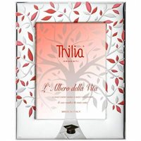 Cornice Thilia in Argento 452957 - 452957